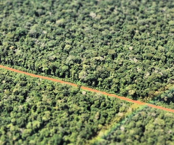 Spacing out: Info for alerted logging strategies and prepares