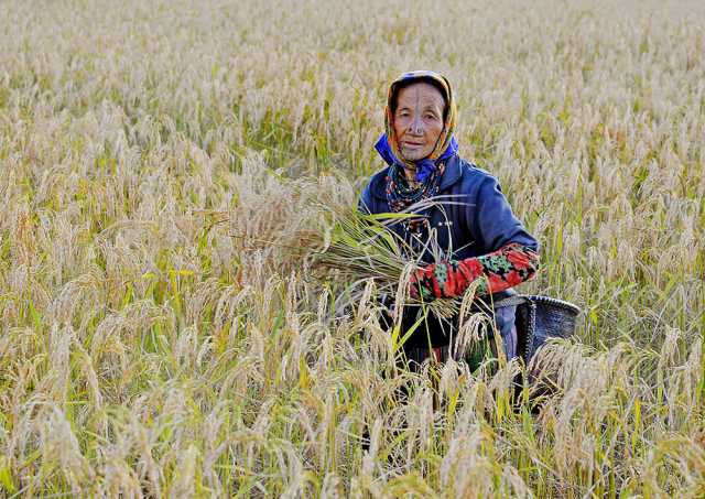 Repair, females as well as land legal rights– join the debate