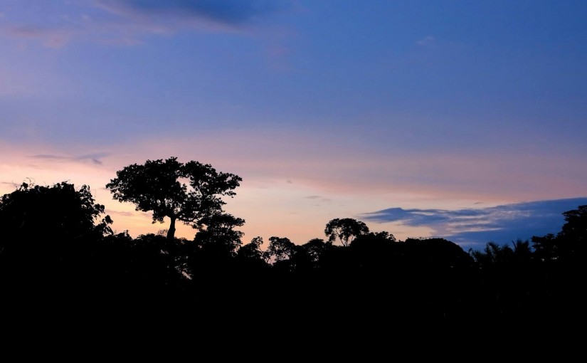 Land tenure is not only a technique, however its own end in REDD+.