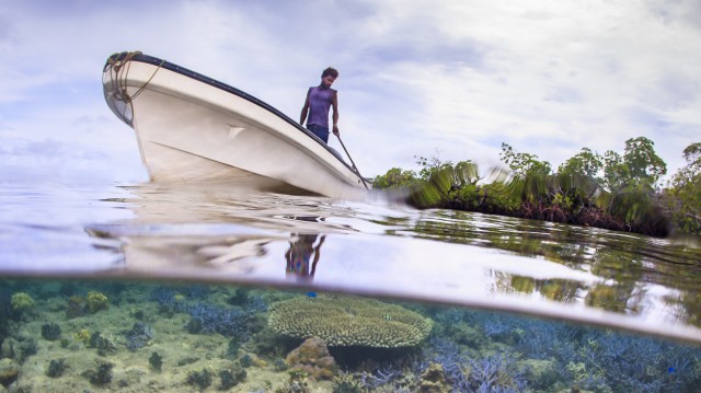 Adhere to that Grouper: What Migration Data Tell USA Worrying In your location Managed Marine Preservation