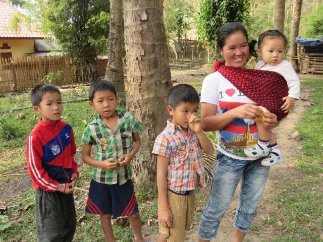 Agroforestry systems supply benefits to Lao farmers