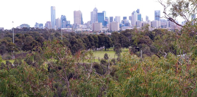 Does higher-density city innovation leave cosmopolitan forests out on an arm or leg?