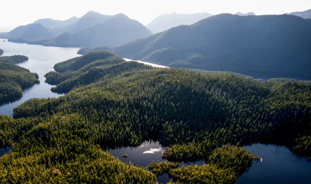 After Paris– Nature’s feature in objective 1.5 degree