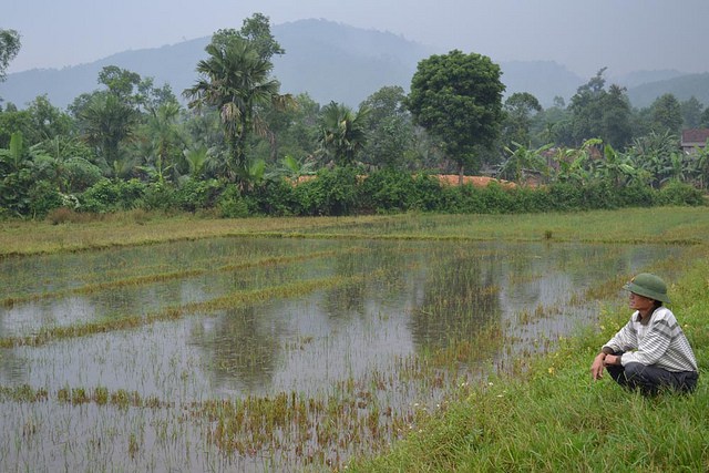 Is wellness possible without biodiversity?