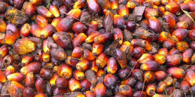 Just what will it take to make enduring hand oil the standard?