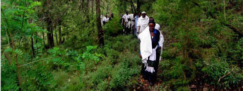 UN-REDD Program research study highlights considerable financial settlement of forests to Ethiopia’s Gross Domestic Product